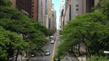 La fotosíntesis de los edificios urbanos